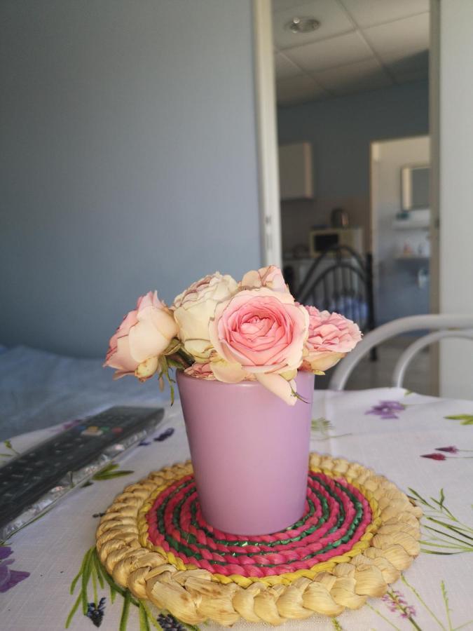 Hodosi Apartman Appartement Veľký Meder Buitenkant foto